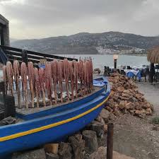 Guia Pajarita Image 2